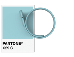 Références Pantone® Bracelet USB